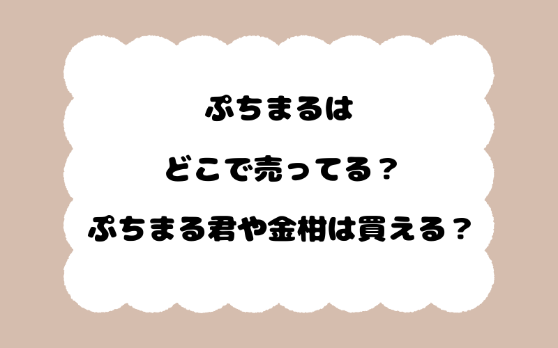 ぷちまるはどこで売ってる？ぷちまる君や金柑は買える？