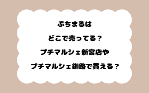 ぷちまるはどこで売ってる？プチマルシェ新宮店やプチマルシェ釧路で買える？