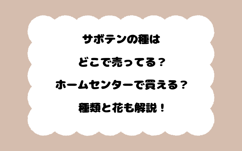 サボテンの種はどこで売ってる？ホームセンターで買える？種類と花も解説！